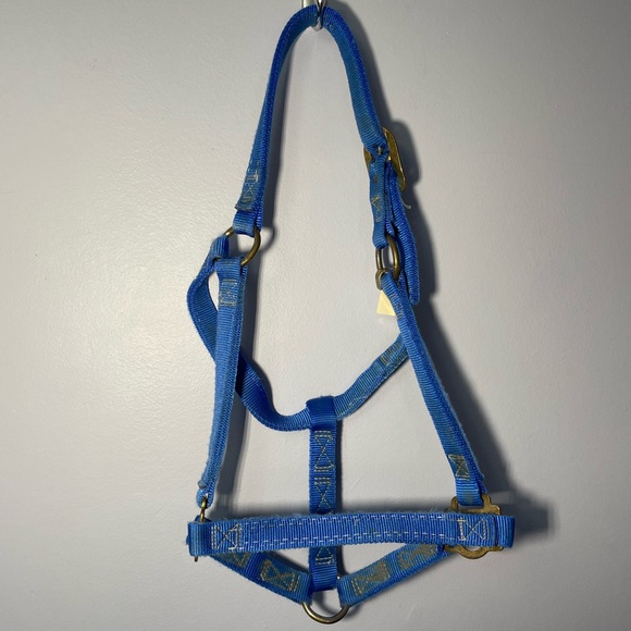 Horse Halter - Picture 1 of 1